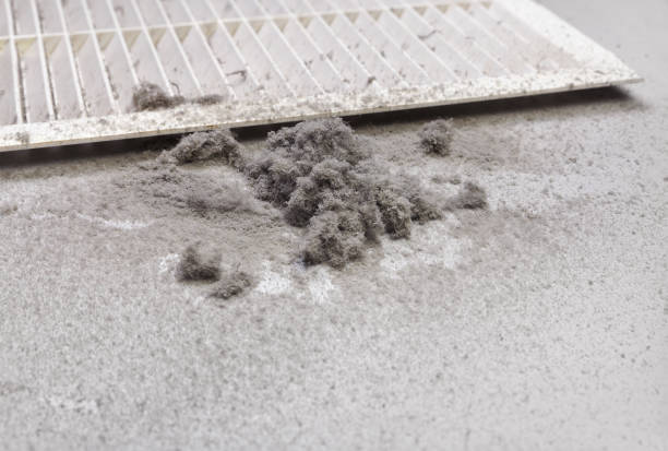 Best Local Air Duct Cleaning Services  in Rhome, TX